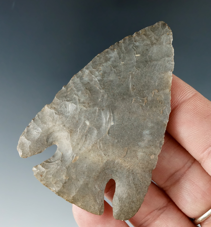 2 11/16" Lost Lake with one restored ear found in Tennessee.