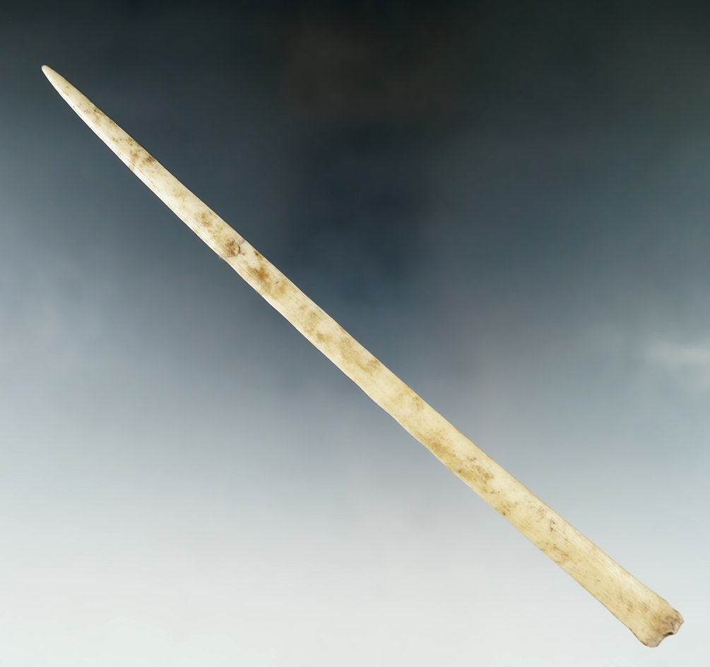 Large 8 3/16" polished bone awl that is broken and glued very tight at the mid-section -Tennessee.