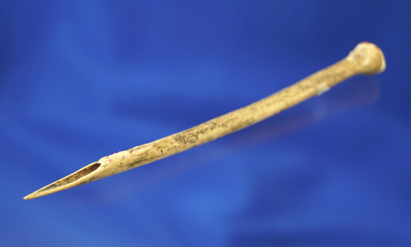 Excellent tip on is heavily patinated 4 3/4" bird bone Awl found at the State Line  site.