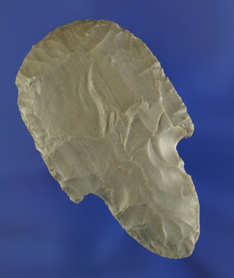 2 9/16" Hornstone Hebron Turkeytail Hafted Scraper found in Kentucky. Excellent example.