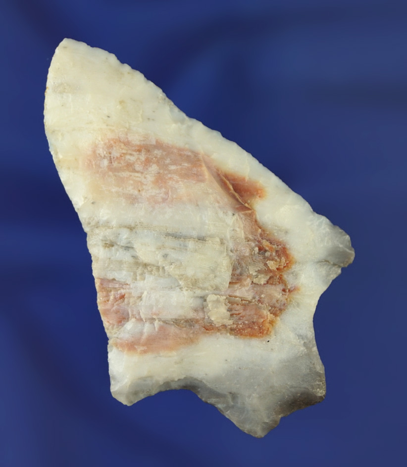 Nice Multi-colored gray, red and white 2 5/8" Newnan -Pasco/Pinellas Co.,  Florida area. Pictured