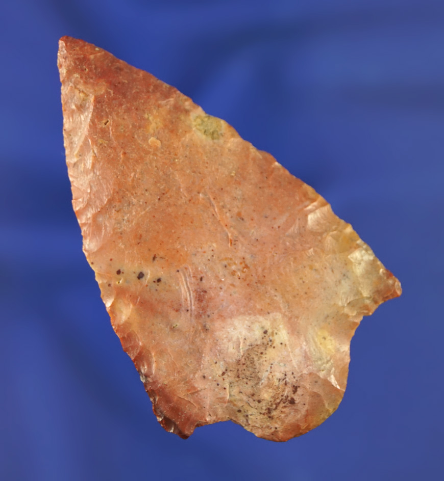 2 3/4" Cypress Creek found in the Pasco/Pinellas Co.,  Florida area. Pictured in Who's Who 10