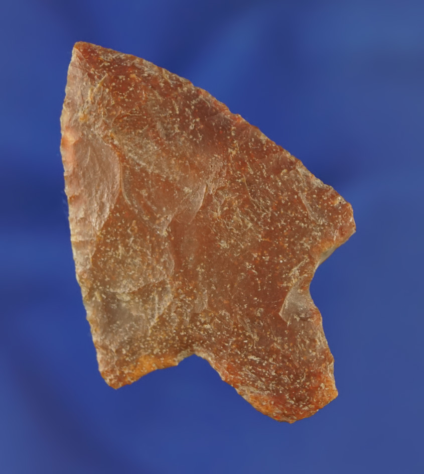 2 1/16" Marion found in the Pasco/Pinellas Co.,  Florida area. Pictured in Who's Who number 10