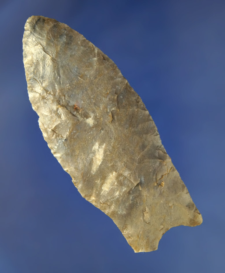 3 5/16" fluted Paleo made from attractive material found in Kentucky.