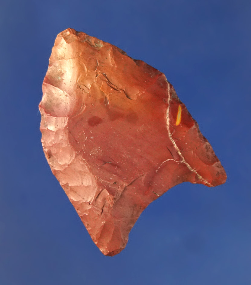 1 3/8" Paleo Fluted Clovis found in Sweetwater Co.,  Wyoming. Jackson G9 COA.