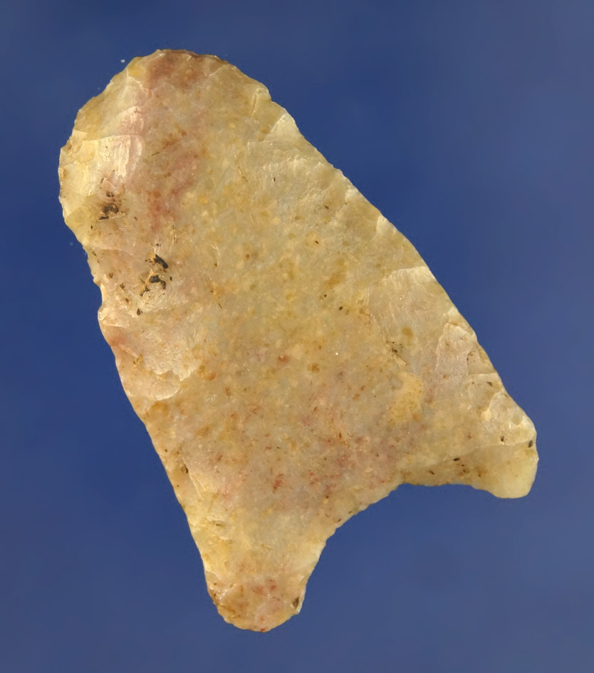 Rare! 2 1/16" fluted Paleo Hafted Scraper made from beautiful Boyles chert found in Kentucky.