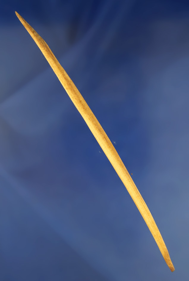 6 1/2" double tipped Hairpin found in limestone Co.,  Alabama. Pictured in Hothem's book