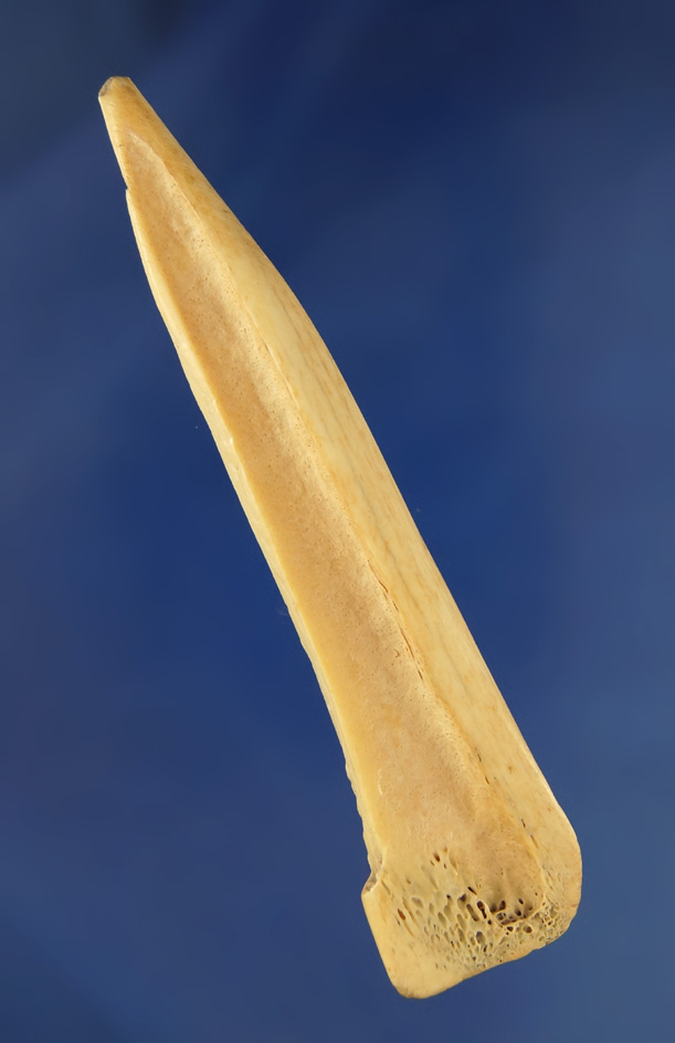 4 1/16" nicely polished bone Splinter Awl found in Tennessee. Pictured in Hothem's antler bone