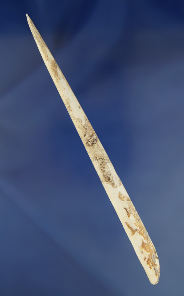 Large 6 3/4" Bone Pin found in southern Georgia.