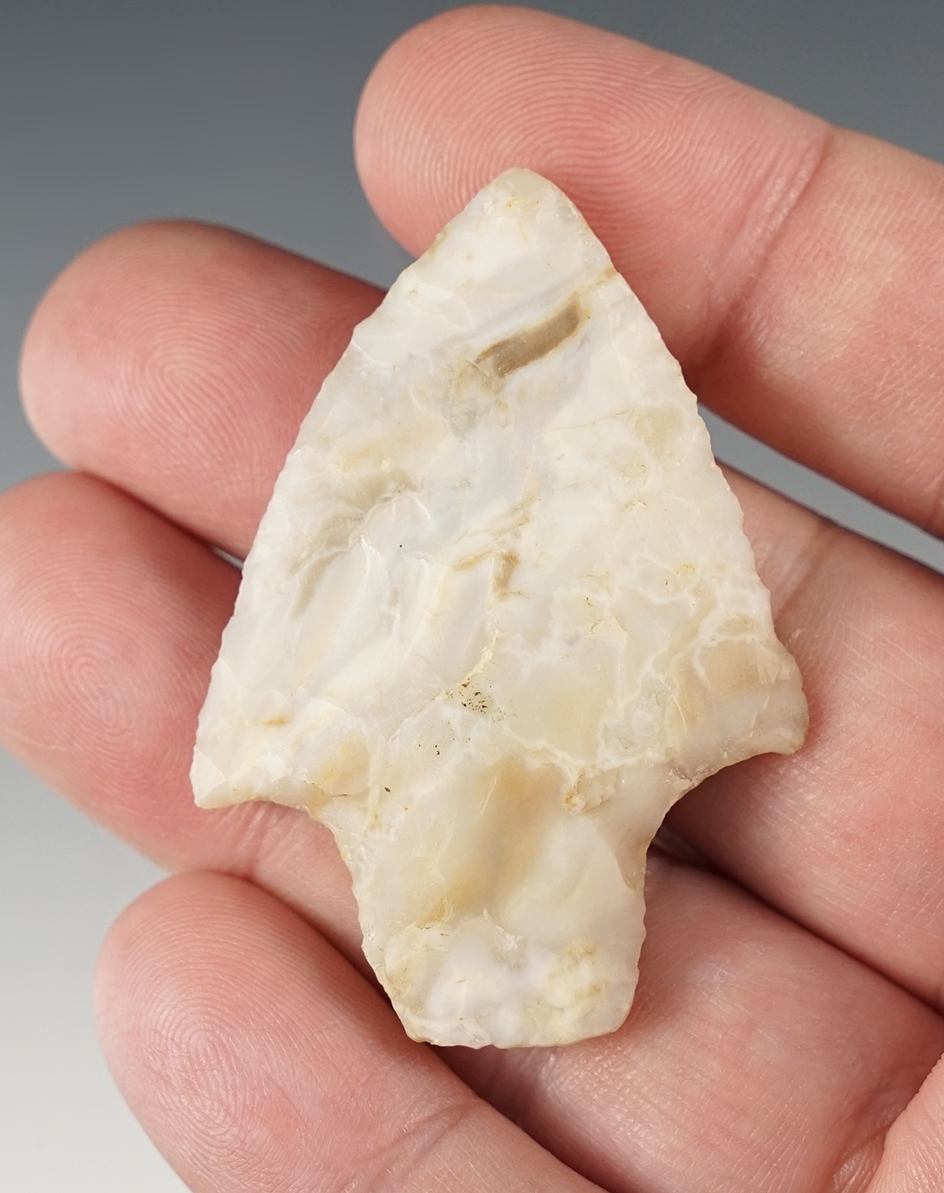 2 1/8" Newnan point found in Florida that is made from beautiful material.