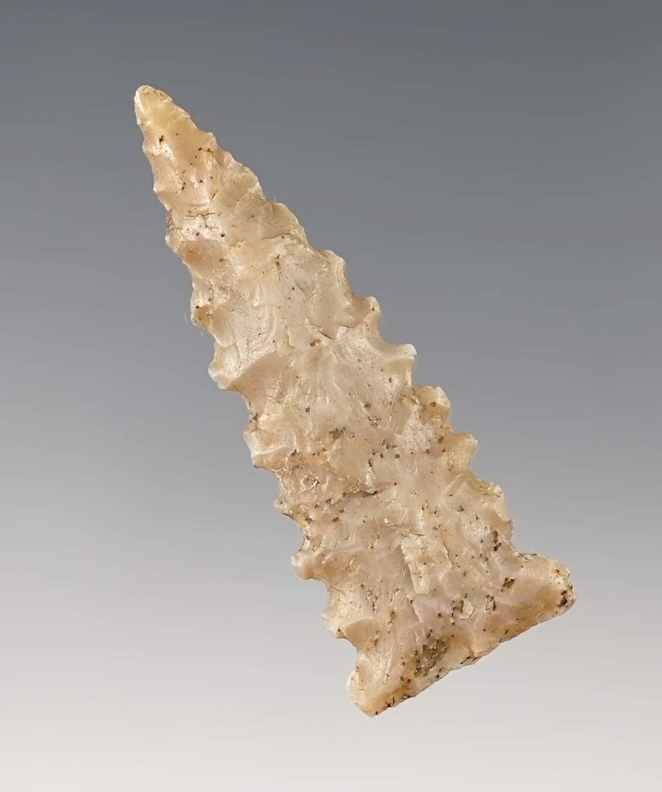 1 11/16" rare serrated Ft. Ancient Triangle found in Kentucky. Made from high grade flint.