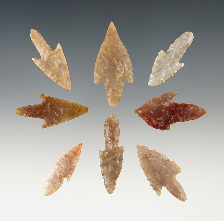 Set of 8 nice African Neolithic points. The largest is 1 9/16".