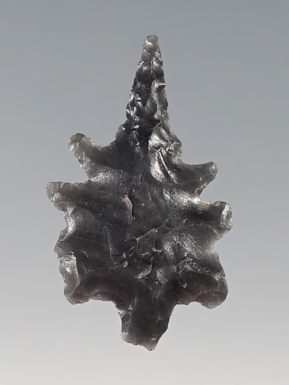 Ex. Museum! Unique serrations on this 7/8" Calapooya made from Dacite. Found in Northern California. 