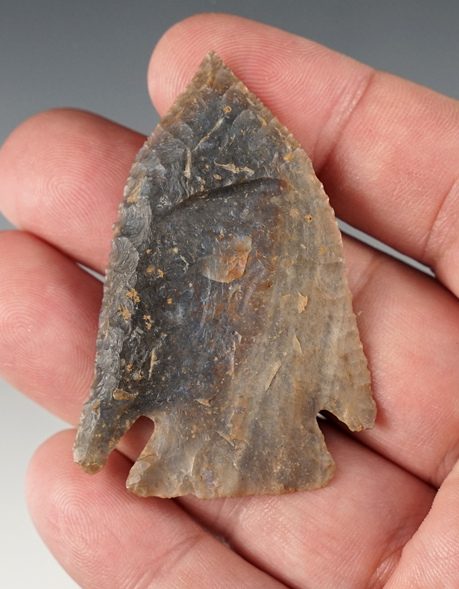 Nice! 2 1/4" Cornernotch Archaic - nicely styled. Made from attractive nodular chert. Kentucky.