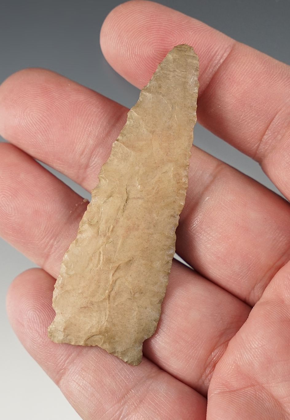 Thin! 2 11/16" Micronotch found in Kentucky.