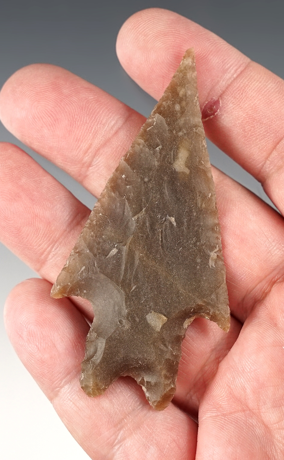 Exceptional 3" Pedernales found in Kimble Co., Texas. Ex. Bill Arnold collection. Rogers COA.