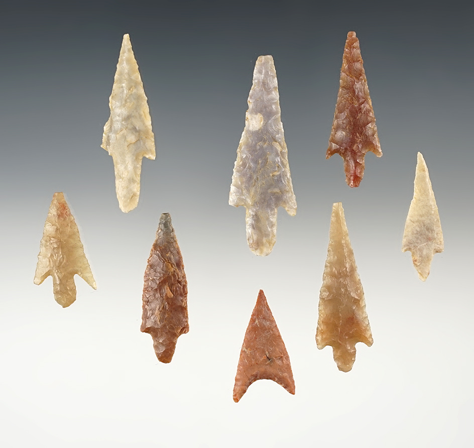 Set of 8 nice African Neolithic points. The largest is 2 1/8".