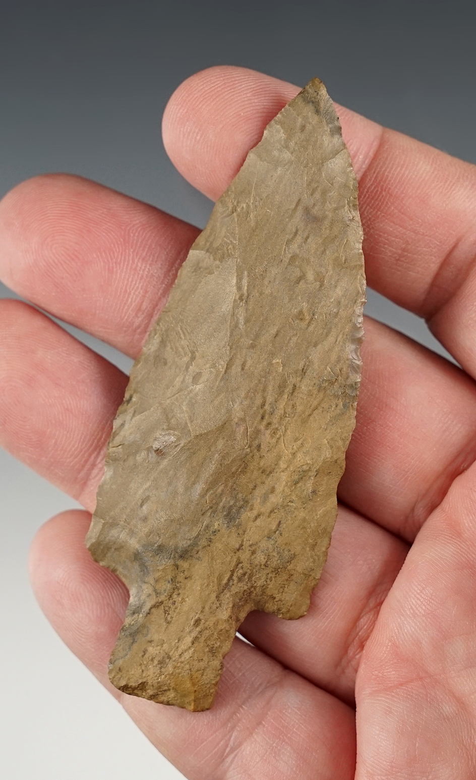 3 3/8" Little Bear Creek - Benton Co., Tennessee. Made from Dover Chert. Dickey COA.