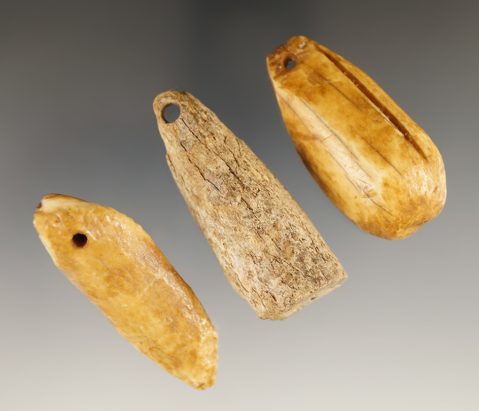 Set of three drilled Walrus tooth weights found in Alaska. Largest is 2 3/8".