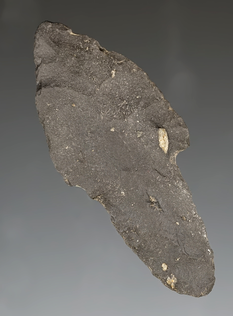 Large nicely flaked 2 7/8" classic style Parman recovered in Washoe Co., Nevada. Ex. Jim Curran.