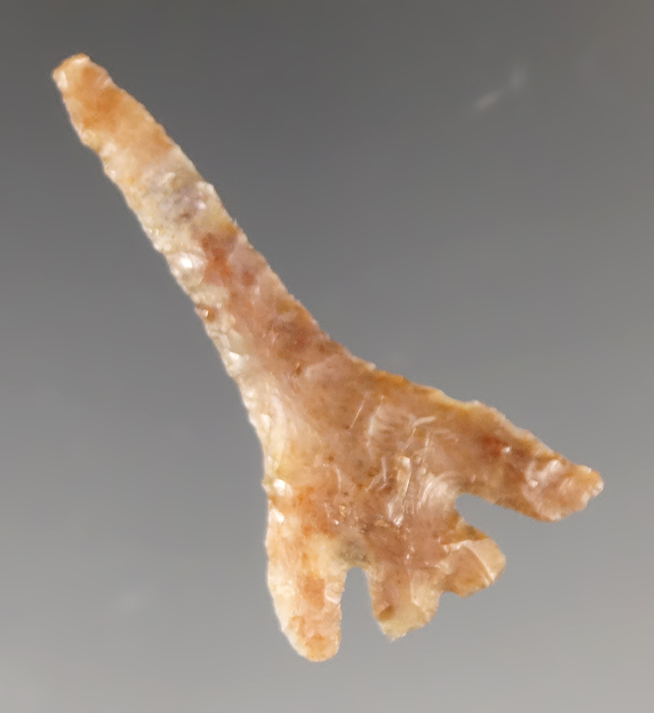 Outstanding 1 5/16" Columbia Plateau Split Stem Drill.