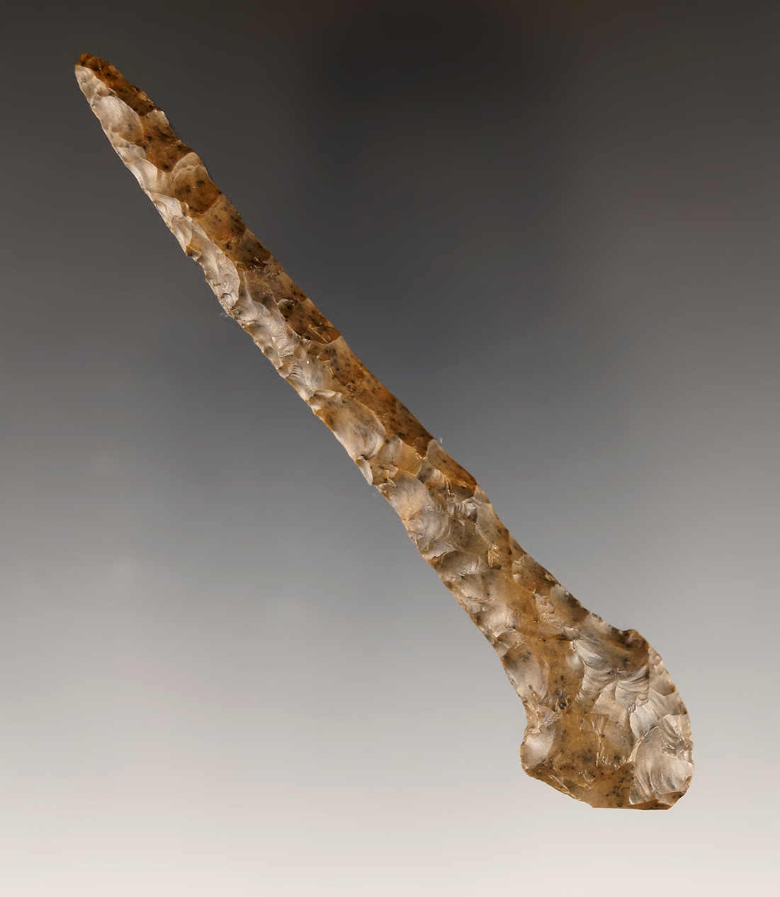 Superb 4 1/8" Cascade Drill found in Grant Co., Washington.