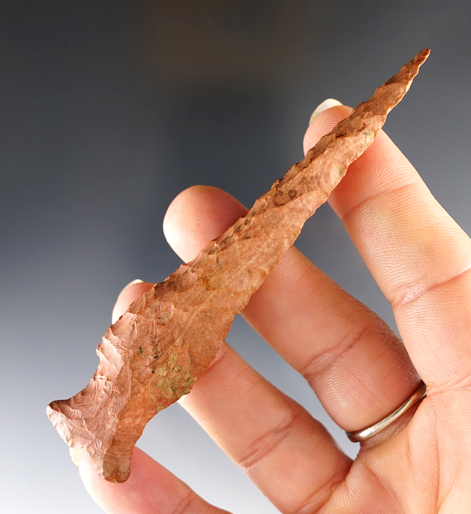 Steeply Beveled 3 7/8" Tennessee Drill in excellent condition.