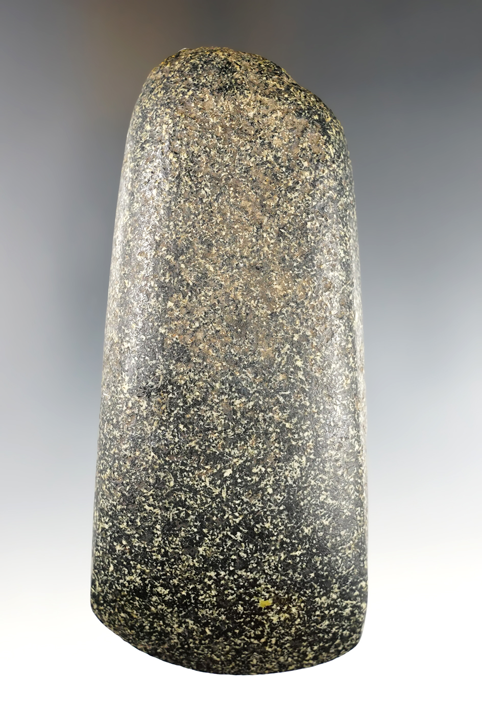 Exceptional polished 4 11/16" hardstone Celt found in Ottawa County Michigan.