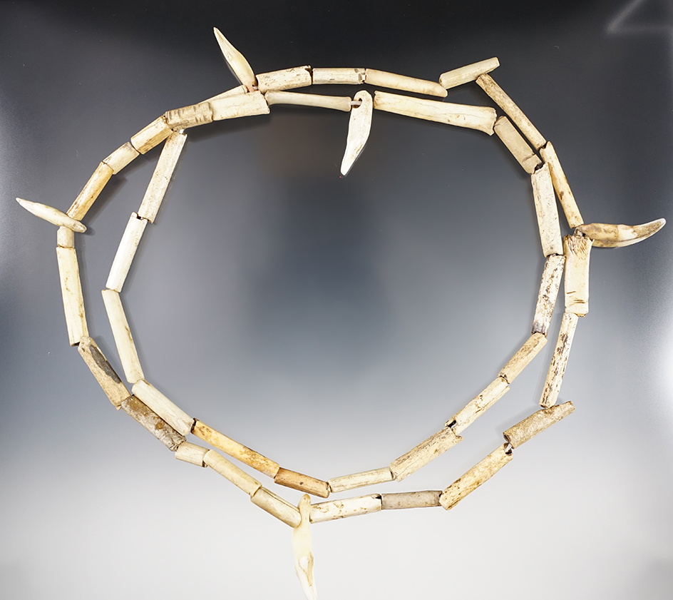 36" strand necklace including bone tube beads and canine teeth found in Virginia.