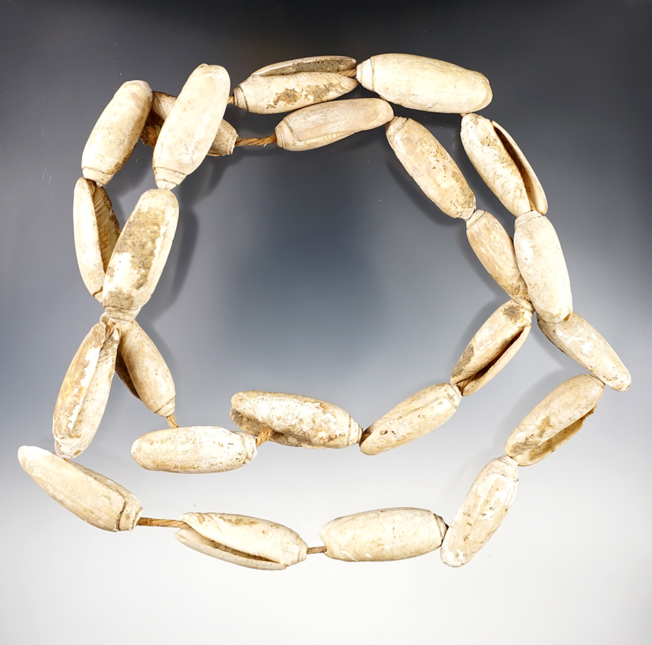 Excellent 32" long strand of drilled shell beads recovered in Virginia. Very well patinated.