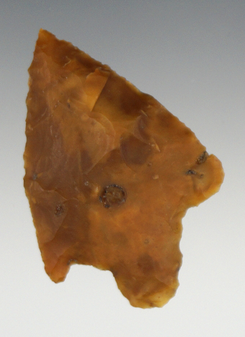 2 1/8" Stemmed Knife made from beautiful material found in Pasco Co., Florida.