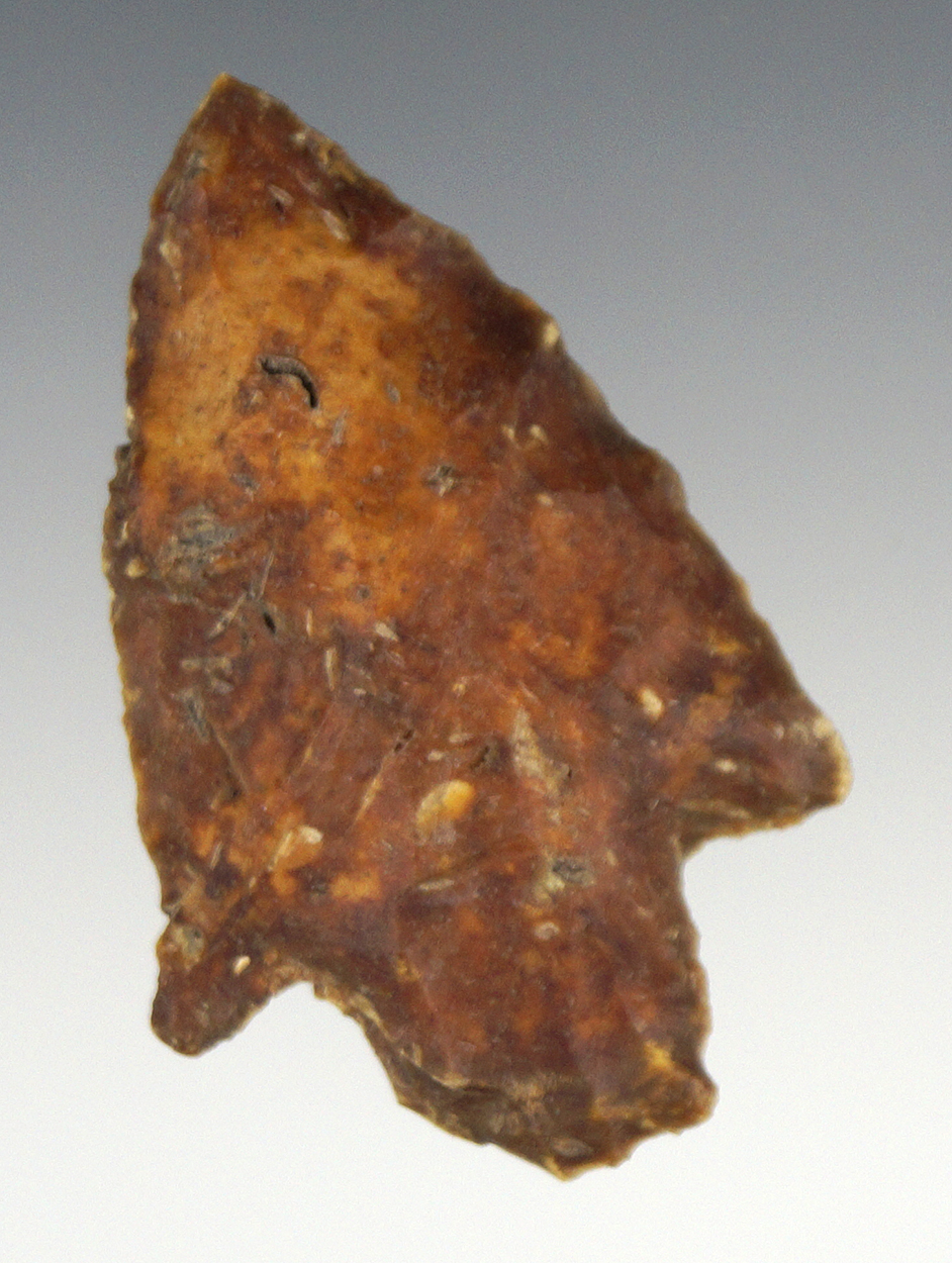 2 1/4" Stemmed Knife made from quality material found in Citrus Co., Florida.