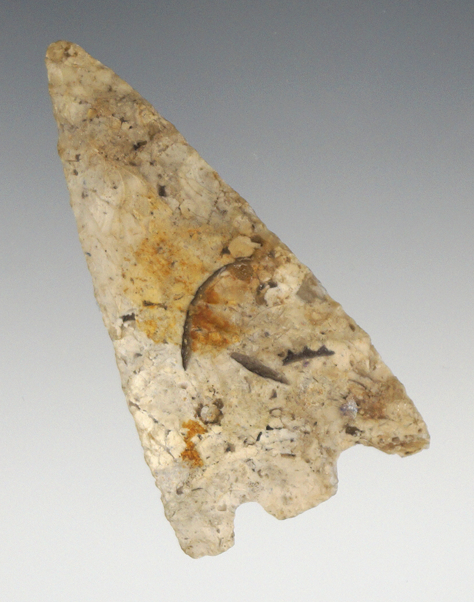 2 5/16" Hernando Point found in Marion Co., Florida in excellent condition.