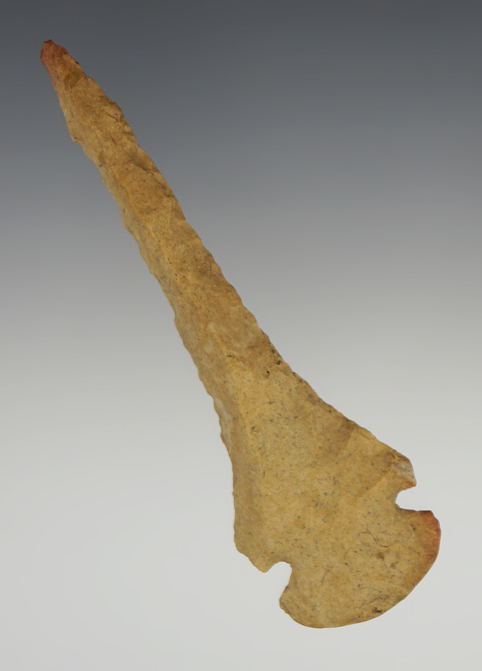 3 3/4" Dovetail Drill found in Crockett Co., Tennessee.