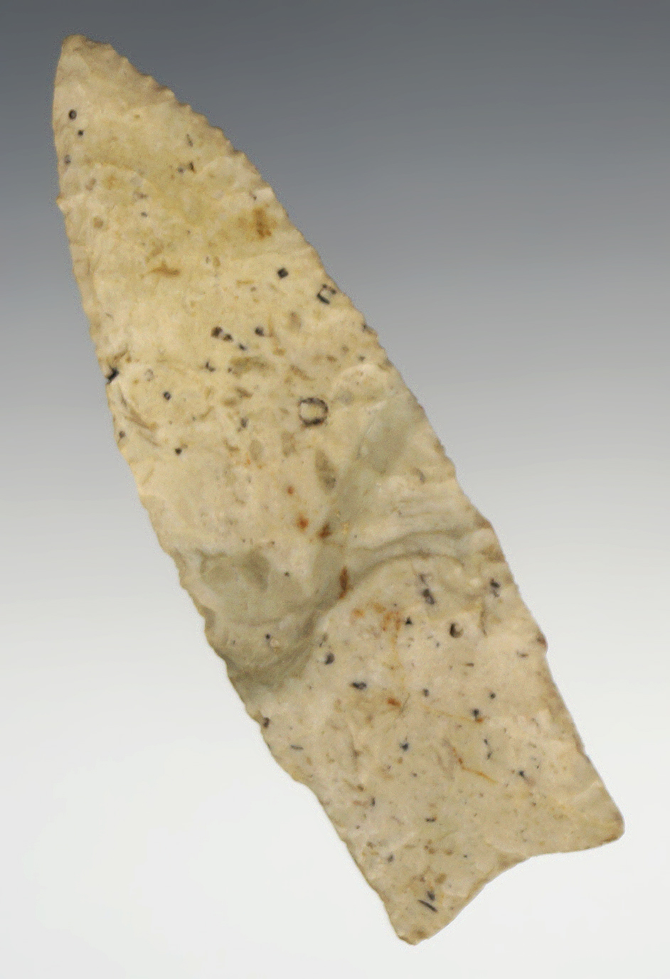 Well flaked 3 3/16" Holland found in Missouri. Ex. Nick Carter Collection.