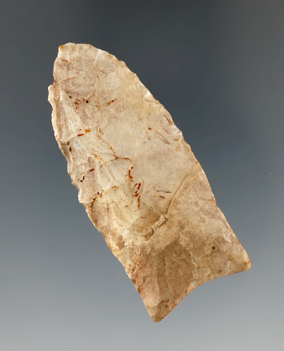 2 5/16" Paleo fluted Clovis found in Mississippi.