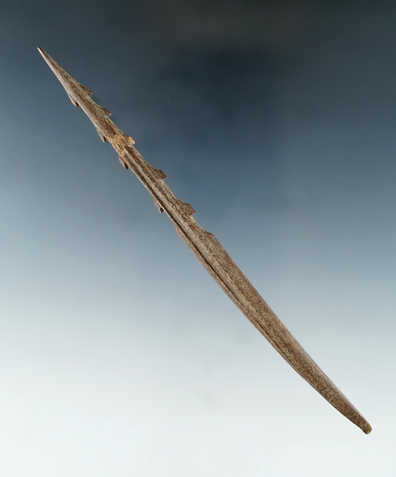 4 7/8" Columbia River Harpoon Tip in excellent condition. Incredibly fine barbs yet well preserved.