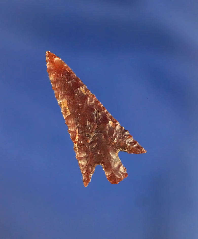 1 5/16" Columbia Plateau  found near the Columbia River, Washington.