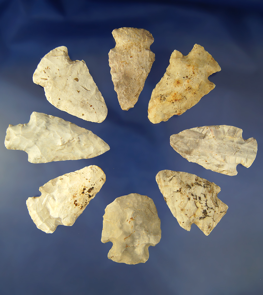 Group of 8 assorted   Arrowheads from Cole Co., Missouri. Largest is 2 11/16".