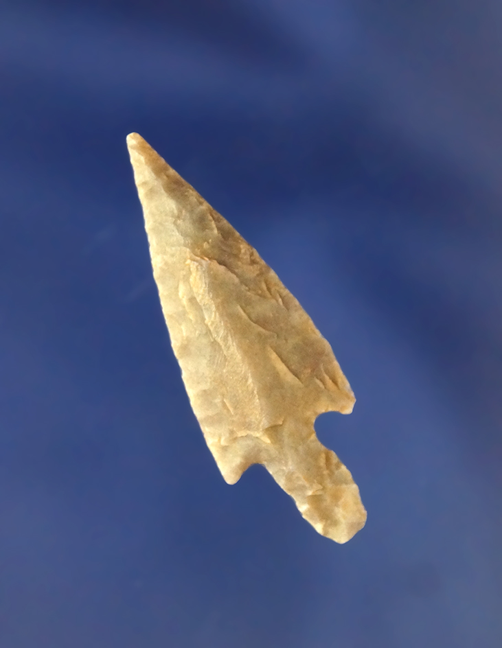 1 7/16" thin and nicely flaked Bonham point found in Texas.