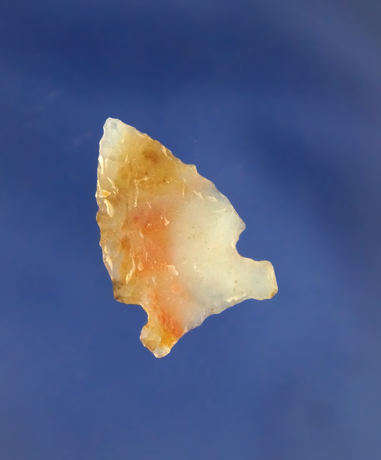 15/16" Avonlea, - Choteau, Montana at a Buffalo jump site. Ex. Jeb Taylor  Perino COA.