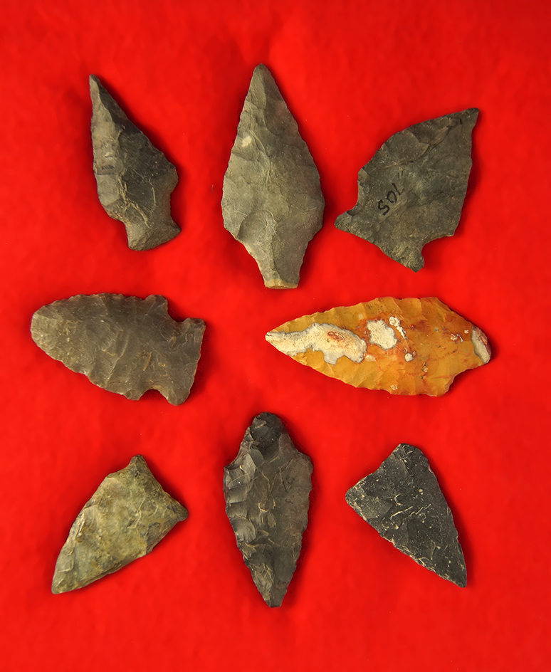 Set of eight assorted   Arrowheads found in Pennsylvania, largest is 2 13/16".