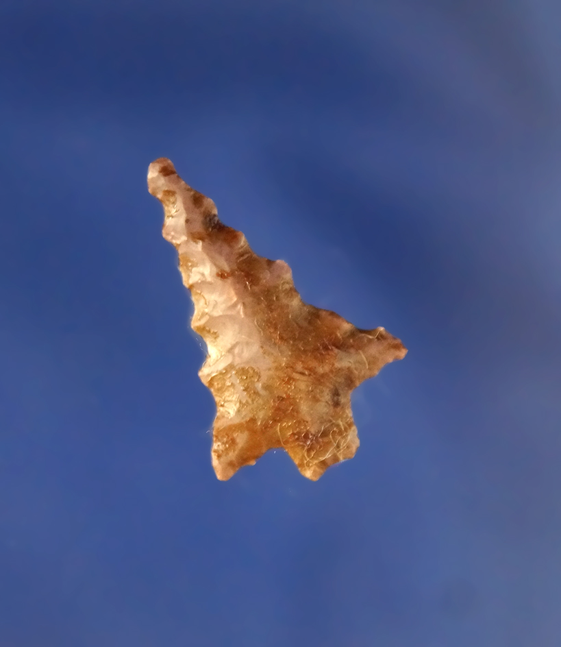 15/16" Bird Point found in Burlington Vermont.  Vermont is a hard place to get artifacts from!