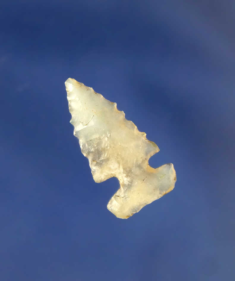 7/8"Nawthis  Arrowhead- Clearwater County Idaho. Ex. Jeb Taylor collection.  Perino COA.