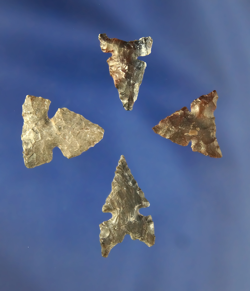 Set of four Ahsahka points found in northern Idaho, largest is 11/16".