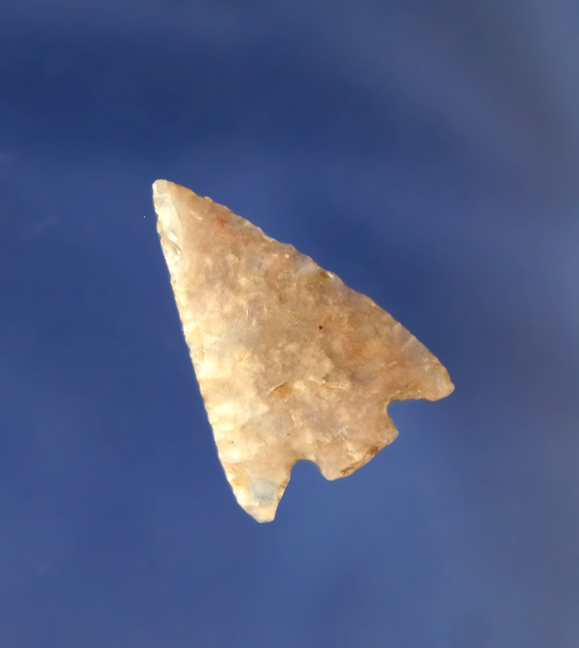 Excellent flaking!  15/16" Parowan- Flat Top Chert found by Bob Roth in Colorado. Perino COA.