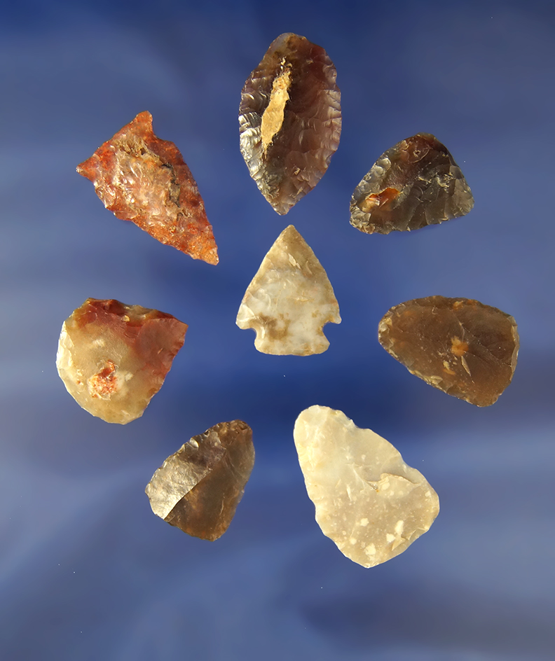 Set of 8 Thumb Scrapers and   Arrowheads found in North Dakota, largest is 1 7/16".