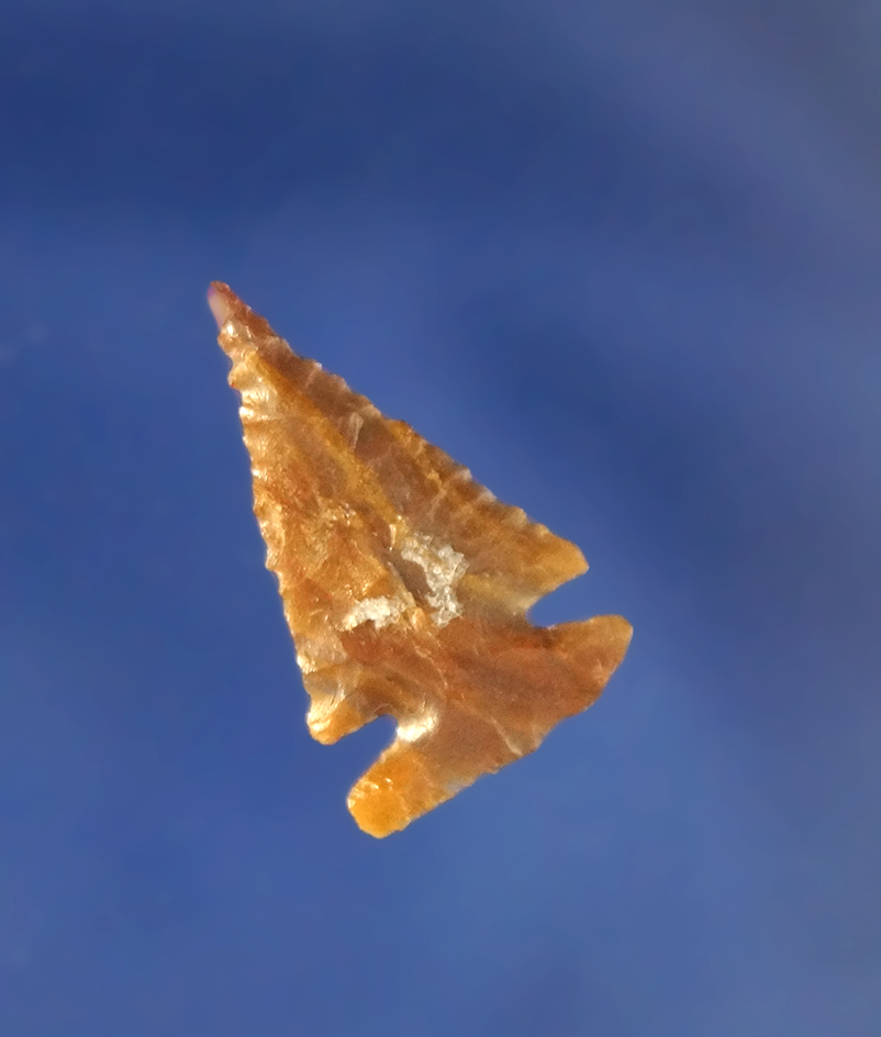 7/8" Uinta  Arrowhead found in Idaho - Petrified Wood. Ex. Jeb Taylor collection. Perino COA.