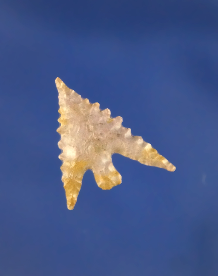 Well styled and nicely flaked 7/8" serrated Columbia Plateau found near the Columbia River