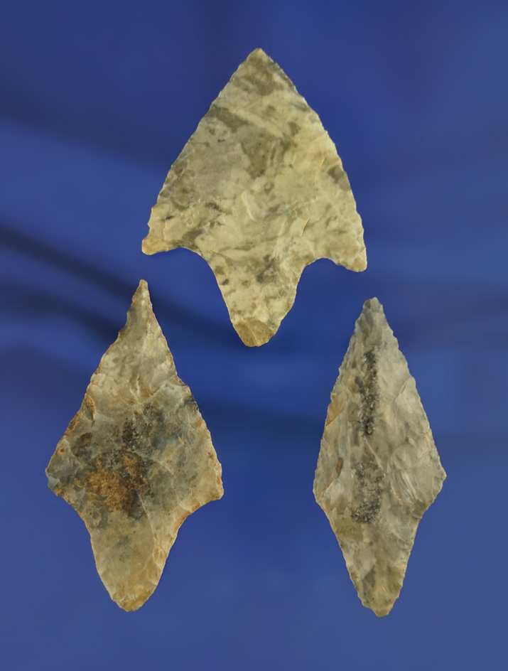 Set of three arrowheads found in Oklahoma, largest is 2 1/8".
